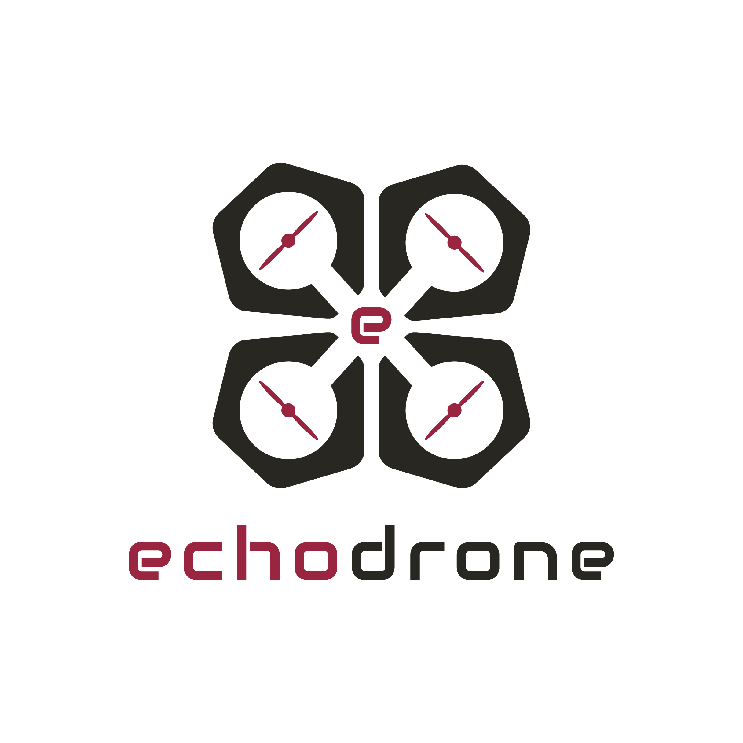 EchoDrone