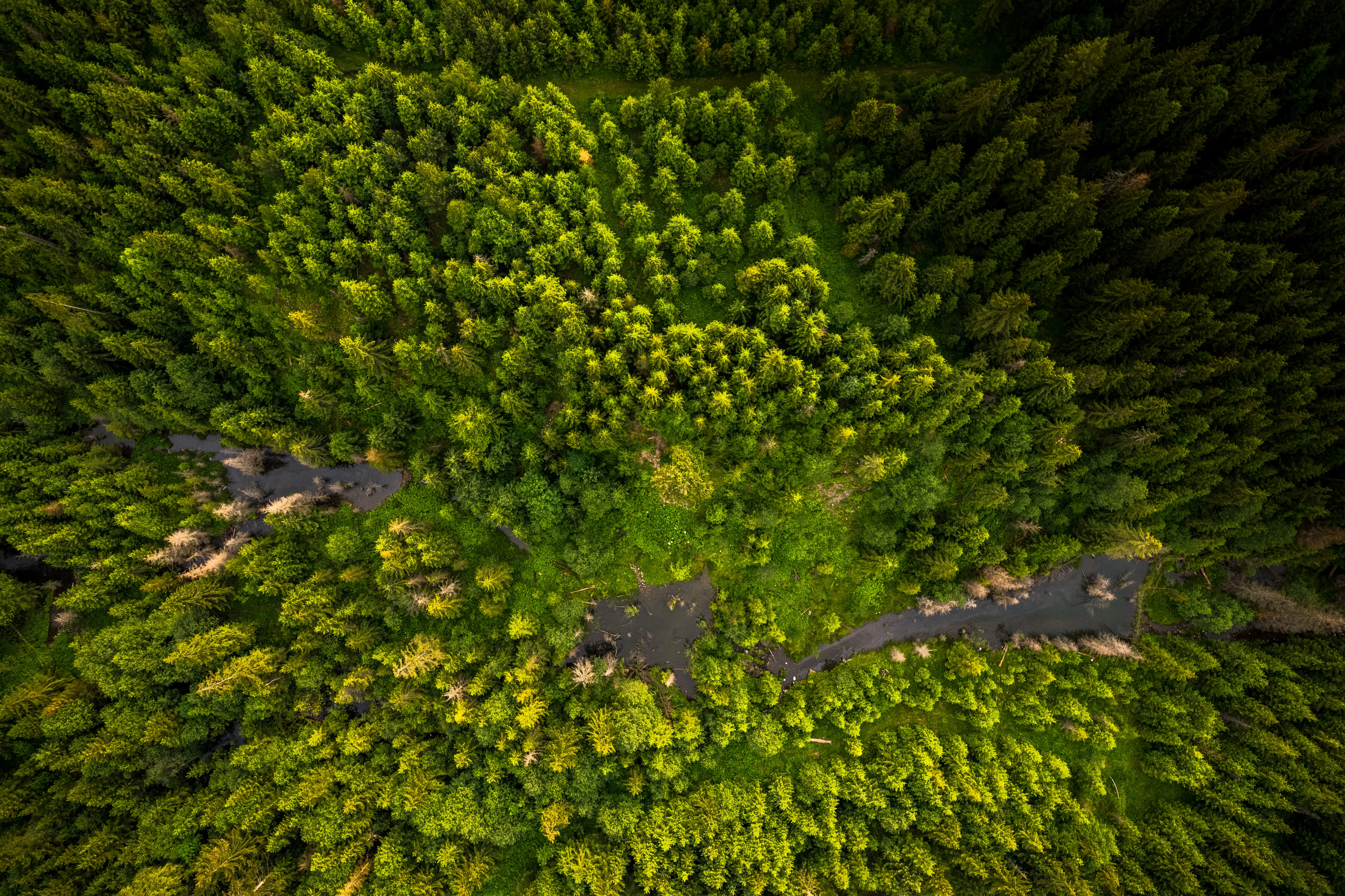 Lidar